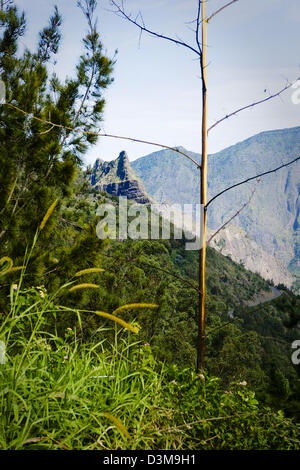 Straße von Cilaos nach Bras Sec der Wanderweg Sentier de Angebote beginnt, Insel überseeische französischen La Réunion Stockfoto