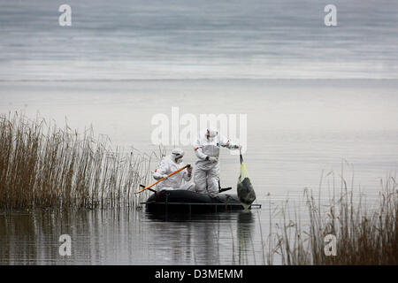 Feuerwehr in Schutzkleidung sammeln einen toten Schwan aus dem "Jasmunder Bodden" Feuchtgebiete in der Nähe von Lietzow auf der Ostsee Insel Rügen, Deutschland, Montag, 20. Februar 2006. Die Operation zielt auf die Verhinderung der Ausbreitung der Vogelgrippe-Virus.  Alarmstufe Rot erging auf der ganzen Insel am Sonntag, 19. Februar 2006, während gleichzeitig die vorsorgliche Keulung von Geflügel bei e Stockfoto