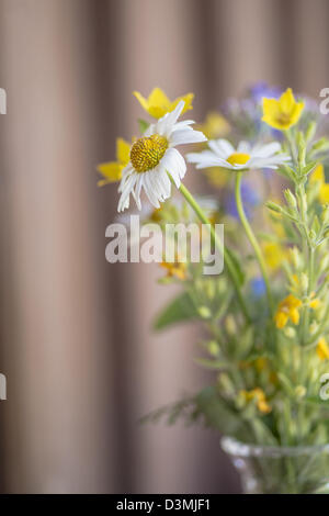 Romantische Bouquet mit frisch gepflückten Blumen in vase Stockfoto