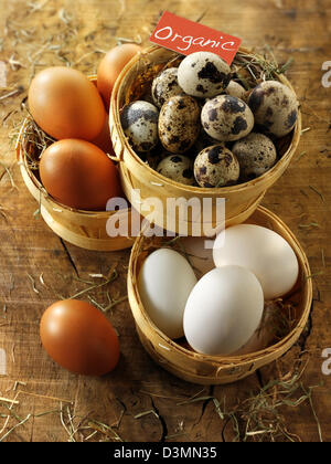 Frische ganze Wachteleier, Huhn & Enteneier Stockfoto