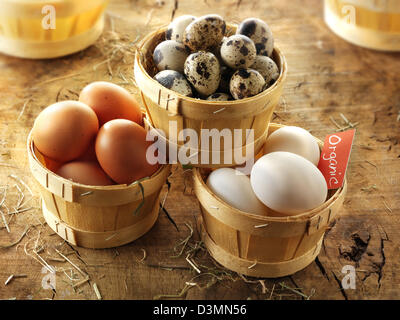 Frische ganze Wachteleier, Huhn & Enteneier Stockfoto