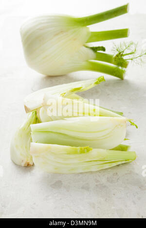 Fenchel Stockfoto