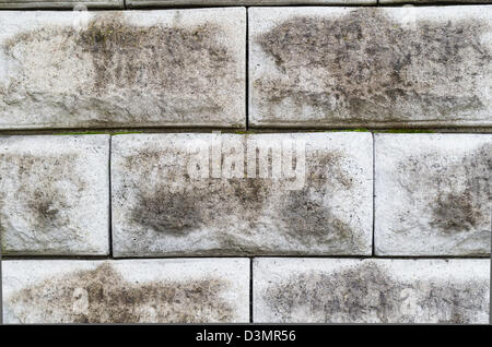 Eine Mauer für den Einsatz als Hintergrund Stockfoto