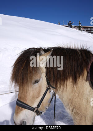 Skiurlaub in Tignes, Frankreich Stockfoto