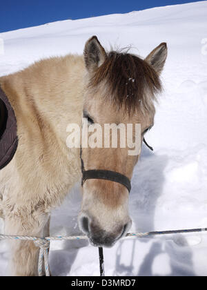 Skiurlaub in Tignes, Frankreich Stockfoto