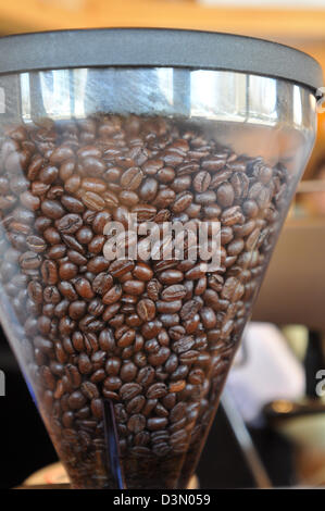 Kaffeebohnen in einem Trichter bereit mir geschliffen Stockfoto