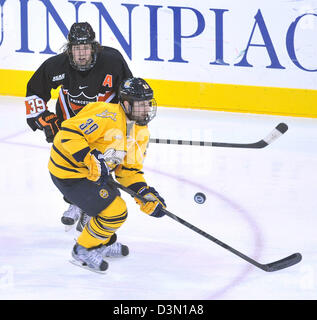 Hamden, CT USA--Quinnipiac Vs Princeton Eishockey Spiel Action. Stockfoto