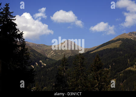 Die Strelagrat hoch über Wald Davoser Landwasser Tal Graubünden Schweiz Stockfoto