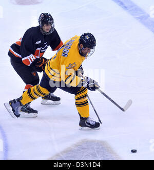 Hamden, CT USA--Quinnipiac Vs Princeton Eishockey Spiel Action. Stockfoto