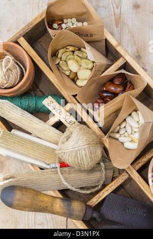 Blumenerde Bank Frühling Stillleben mit gespeicherten Samen hausgemachte Pakete und Garten Artikel Stockfoto