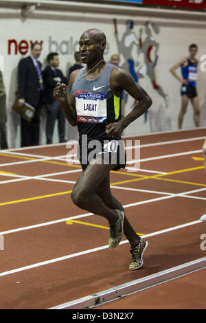 Bernard Lagat, Gewinner von zwei Meile der Männer bei den 2013 Millrose Games. Stockfoto