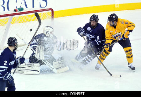 Quinnipiac University Vs UCONN Eishockey Spiel Action. 22.02.2013. Quinnipiac schaffte es auf den nationalen Meisterschaften im Jahr 2013 Stockfoto