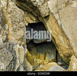 Felsen und Klippen Gesichter mit eine abwechslungsreiche Geologie im Marloes Sands beach Pembrokeshire Coast Nationalpark im Spätsommer South West Wa Stockfoto