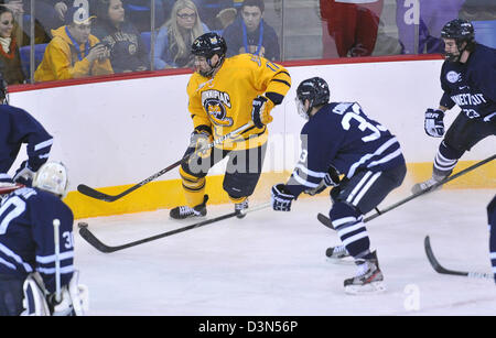 Quinnipiac University Vs UCONN Eishockey Spiel Action. 22.02.2013. Quinnipiac schaffte es auf den nationalen Meisterschaften im Jahr 2013 Stockfoto