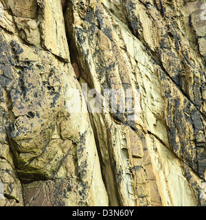 Felsen und Klippen Gesichter mit eine abwechslungsreiche Geologie im Marloes Sands beach Pembrokeshire Coast Nationalpark im Spätsommer South West Wa Stockfoto