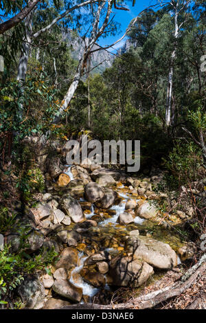 Mount Buffalo Nationalpark Victoria Australien Stockfoto