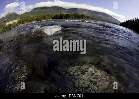 Sechelt Stromschnellen, die Sechelt Inlet Jervis Inlet, an der Sunshine Coast von British Columbia, nördlich von Vancouver verbindet. Stockfoto