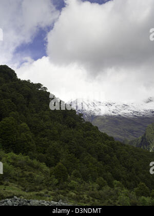 Aussicht auf dem Weg auf dem Rob Roy Gletscher Weg, Mt Aspiring National Park, in der Nähe von Wanaka, Neuseeland Stockfoto