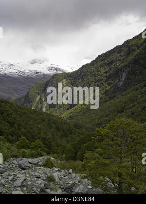 Aussicht auf dem Weg auf dem Rob Roy Gletscher Weg, Mt Aspiring National Park, in der Nähe von Wanaka, Neuseeland Stockfoto