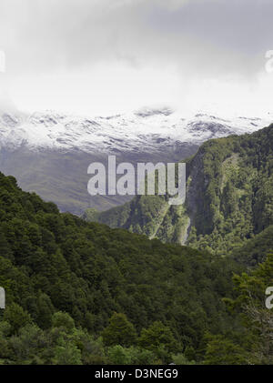 Aussicht auf dem Weg auf dem Rob Roy Gletscher Weg, Mt Aspiring National Park, in der Nähe von Wanaka, Neuseeland Stockfoto