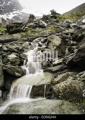 Aussicht auf dem Weg auf dem Rob Roy Gletscher Weg, Mt Aspiring National Park, in der Nähe von Wanaka, Neuseeland Stockfoto