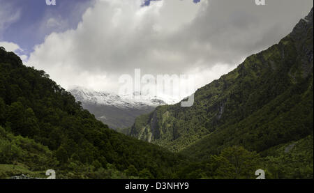 Aussicht auf dem Weg auf dem Rob Roy Gletscher Weg, Mt Aspiring National Park, in der Nähe von Wanaka, Neuseeland Stockfoto