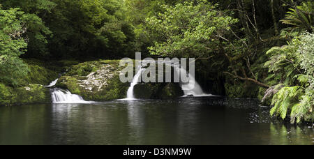 Panoramablick auf die Gegend Fluss stromabwärts von McLeans fällt, Catlins Forest Clutha, Neuseeland Stockfoto