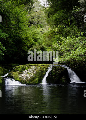 Ansicht von McLean Wasserfälle und die Gegend Fluss, Catlins Forest Clutha, Neuseeland Stockfoto