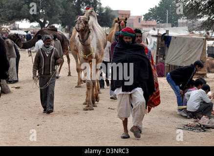 Verkäufer bringen ihre Kamele während Viehmarkt im westlichen indischen Stadt von Nagaur, im Staat Rajasthan. Stockfoto