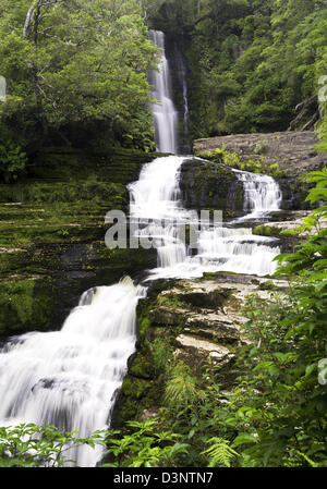 Ansicht von McLean Wasserfälle und die Gegend Fluss, Catlins Forest Clutha, Neuseeland Stockfoto