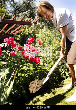 Eva Koehler, Frau des Bundespräsidenten, Pflanzen einen Rosenstrauch im Garten von Bellevue Palace in Berlin, Deutschland, Dienstag, 4. Juli 2006. Die neueste Kreation des französischen rose Züchter Arnaud Delbard wurde von Frau Koehler "Rubinchen" benannt. Die Rose tut seinen Teil für die Arbeit des deutschen Verbandes für Kind Schutz (DKSB). Ein Euro von jeder verkauften Rose ist der DKSB gespendet. Foto Stockfoto