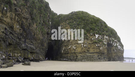 Panoramablick auf der Kathedrale Höhlen, am Südende der Südinsel, Clutha, New Zealand, in der Nähe von Papatowai Stockfoto