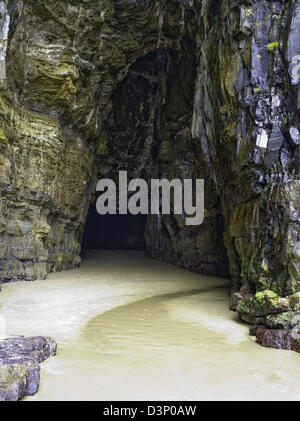 Ansicht der Kathedrale Höhlen, am Südende der Südinsel, Clutha, New Zealand, in der Nähe von Papatowai Stockfoto