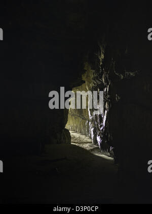 Ansicht der Kathedrale Höhlen, am Südende der Südinsel, Clutha, New Zealand, in der Nähe von Papatowai Stockfoto