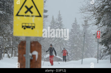 Personen ski durch den winterlichen Wald auf dem Sonnenberg des Harzer Gebirges, Deutschland, 22. Februar 2013. Foto: JOCHEN LUEBKE Stockfoto