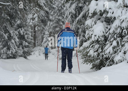 Personen ski durch den winterlichen Wald auf dem Sonnenberg des Harzer Gebirges, Deutschland, 22. Februar 2013. Foto: JOCHEN LUEBKE Stockfoto