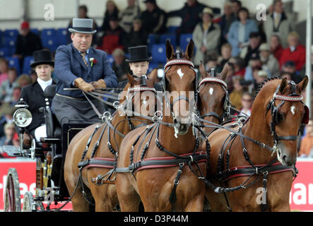 Das Bild zeigt die Quadriga des niederländischen Theo Timmerman während treibende Dressurprüfung bei den FEI World Equestrian Games 2006 in Aachen, Deutschland, Mittwoch, 30. August 2006. Die Spiele laufen seit dem 20. August und Ende September 3rd. Foto: Federico Gambarini Stockfoto