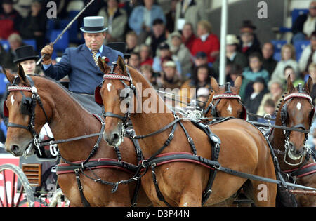 Das Bild zeigt die Quadriga des niederländischen Theo Timmerman während treibende Dressurprüfung bei den FEI World Equestrian Games 2006 in Aachen, Deutschland, Mittwoch, 30. August 2006. Die Spiele laufen seit dem 20. August und Ende September 3rd. Foto: Federico Gambarini Stockfoto