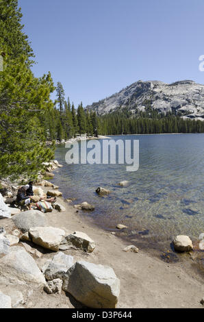 Tenaya Lake am Tioga Pass im Yesemite Nationalpark Stockfoto