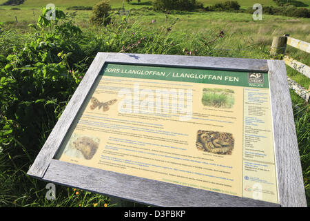 Llangloffan Fen Nr Mathry Fishguard Pembrokeshire Wales Stockfoto