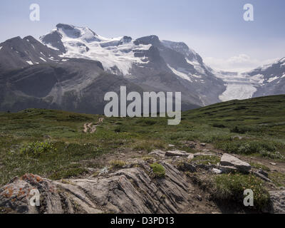 In Richtung Athabasca. Wanderer folgen dem gewundenen Pfad auf Wilcox Pass. Mount Athabasca und dem Athabasca-Gletscher im Hintergrund Stockfoto