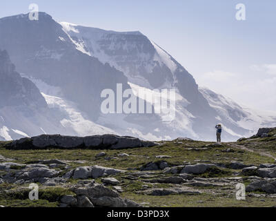 Ein Wanderer Fotos Blick auf die majestätischen Berge. Oben auf dem Pass Wilcox Fotografien von Wanderer Berge und das Columbia-Eisfeld Stockfoto