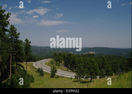 Blauer Himmelsblick Autobahn 244 und Pinien Bäumen Hügeln vom Parkplatz am Mount Rushmore Monument, Black Hills, South Dakota, USA Stockfoto