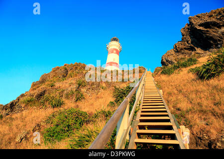 Steile Holztreppe zum Leuchtturm von Cape Palliser in der South-Wairarapa Stockfoto