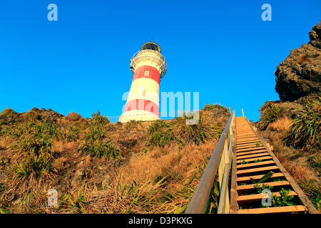 Steile Holztreppe zum Leuchtturm von Cape Palliser in der South-Wairarapa Stockfoto