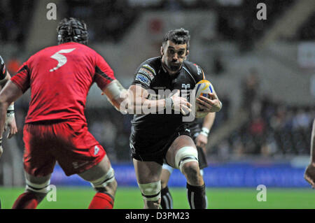 Swansea, Großbritannien. 22. Februar 2013. Fischadler Jonathan Thomas findet heute Abend am Edinburgh Kapitän Sean Cox im Liberty Stadium in Swansea. Bildnachweis: Phil Rees / Alamy Live News Stockfoto