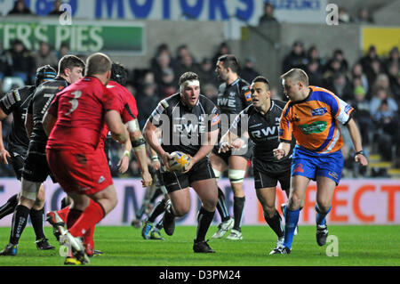 Swansea, Großbritannien. 22. Februar 2013. Fischadler Ryan Bevington taked auf die Edinburgh-Verteidigung im Liberty Stadium in Swansea heute Abend. Bildnachweis: Phil Rees / Alamy Live News Stockfoto