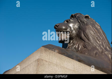 Eines der Löwe aus Bronze-Statuen am Fuße des Nelson Säule am Trafalgar Square in London, vor einem strahlend blauen Himmel. Stockfoto