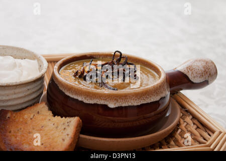 Eine Schüssel mit reichen cremige Gourmet Curry Kürbissuppe Stockfoto