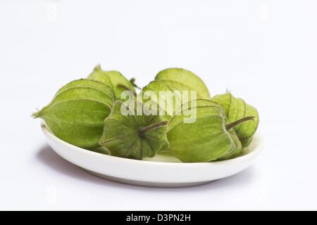 Nahaufnahme der Physalis (Physalis Angulata) auf weißem Hintergrund Stockfoto